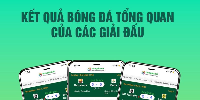 Tương lai của nền tảng
